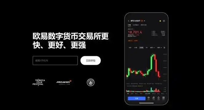 ok交易官网钱包官方网站页面展示